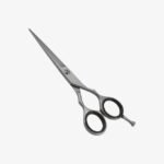 Professional Barber Shears