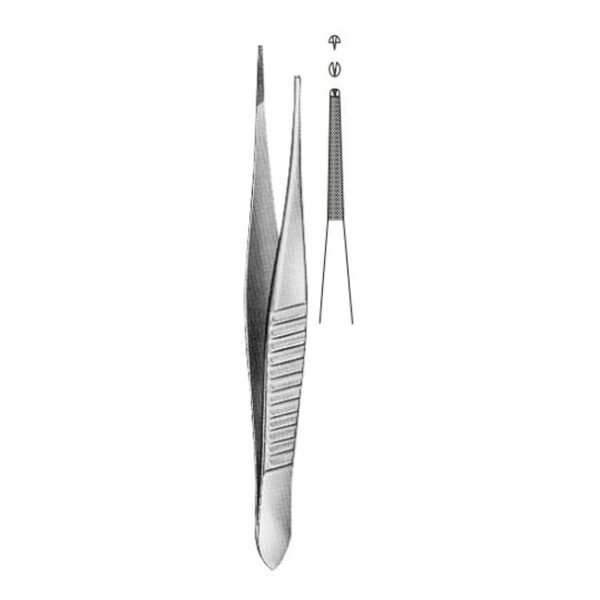 Toothed Dissecting Forceps